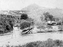 ntptepe1.jpg (16833 bytes)