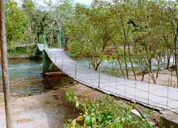 ntptepe3.jpg (19102 bytes)