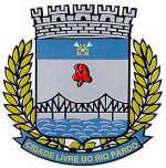 brasaosj.jpg (9249 bytes)
